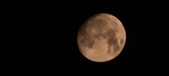 Enlarge photo 255