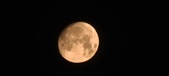 Enlarge photo 256