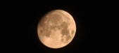 Enlarge photo 257