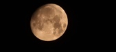 Enlarge photo 267