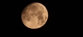 Enlarge photo 268