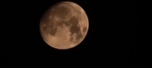 Enlarge photo 269