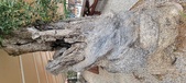 Enlarge photo 266