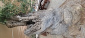 Enlarge photo 362