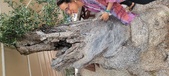 Enlarge photo 360