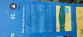 Enlarge photo 284
