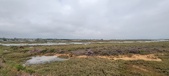 Enlarge photo 286