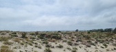 Enlarge photo 297