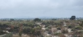 Enlarge photo 298
