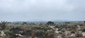Enlarge photo 299