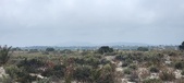 Enlarge photo 300
