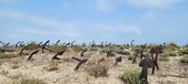 Enlarge photo 301