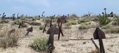 Enlarge photo 304