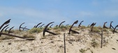 Enlarge photo 308