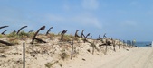 Enlarge photo 309