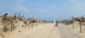Enlarge photo 311