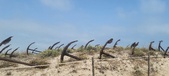 Enlarge photo 312