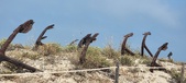 Enlarge photo 313
