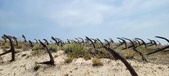 Enlarge photo 370