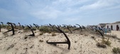 Enlarge photo 316