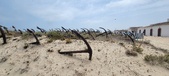 Enlarge photo 317