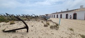 Enlarge photo 318
