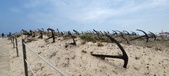 Enlarge photo 320