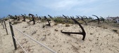 Enlarge photo 321