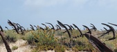Enlarge photo 322