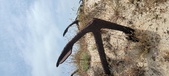 Enlarge photo 325