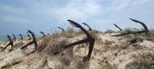 Enlarge photo 327