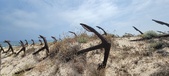 Enlarge photo 328