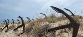 Enlarge photo 331