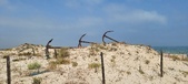 Enlarge photo 332
