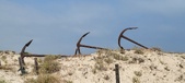 Enlarge photo 333