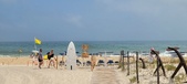Enlarge photo 334