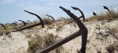 Enlarge photo 338