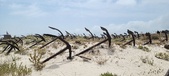 Enlarge photo 344