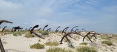 Enlarge photo 346