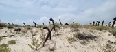 Enlarge photo 347