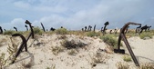 Enlarge photo 348
