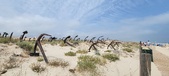 Enlarge photo 349
