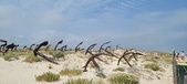 Enlarge photo 351