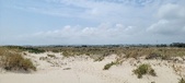 Enlarge photo 352