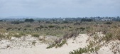 Enlarge photo 353