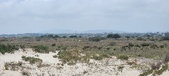 Enlarge photo 357