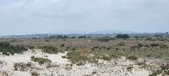 Enlarge photo 356