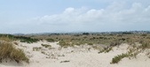 Enlarge photo 355
