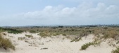 Enlarge photo 354
