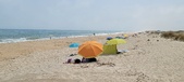 Enlarge photo 371